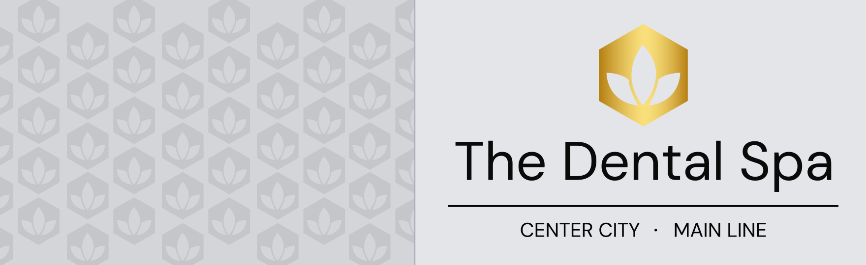 Meet the Main Line Doctors